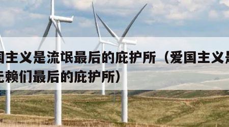 爱国主义是流氓最后的庇护所（爱国主义是流氓无赖们最后的庇护所）