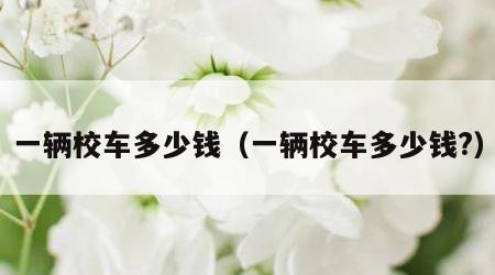 一辆校车多少钱（一辆校车多少钱?）