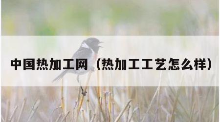 中国热加工网（热加工工艺怎么样）