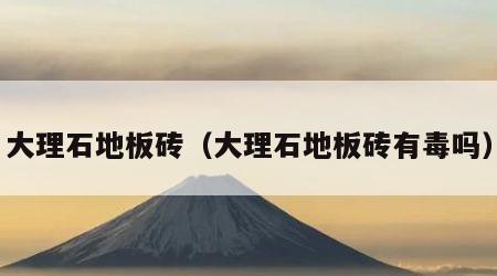 大理石地板砖（大理石地板砖有毒吗）