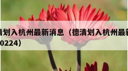 德清划入杭州最新消息（德清划入杭州最新消息20224）