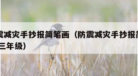 防震减灾手抄报简笔画（防震减灾手抄报简笔画 三年级）