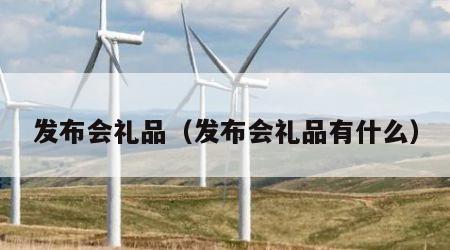 发布会礼品（发布会礼品有什么）