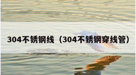 304不锈钢线（304不锈钢穿线管）