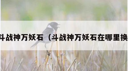 斗战神万妖石（斗战神万妖石在哪里换）