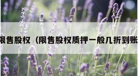 限售股权（限售股权质押一般几折到账）