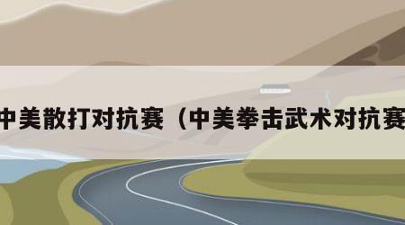 中美散打对抗赛（中美拳击武术对抗赛）