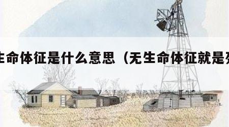无生命体征是什么意思（无生命体征就是死亡吗）