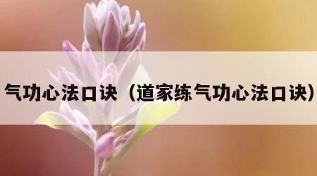 气功心法口诀（道家练气功心法口诀）