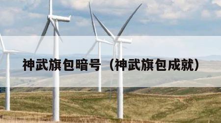 神武旗包暗号（神武旗包成就）