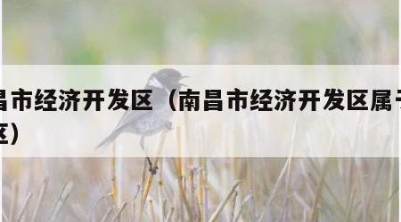南昌市经济开发区（南昌市经济开发区属于哪个区）