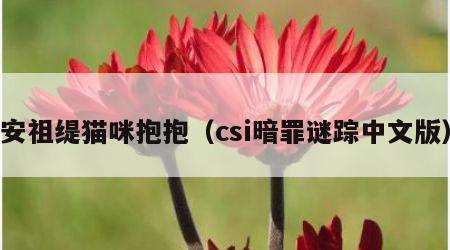 安祖缇猫咪抱抱（csi暗罪谜踪中文版）
