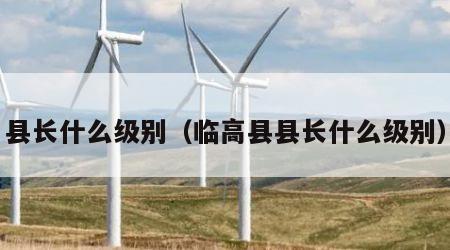 县长什么级别（临高县县长什么级别）