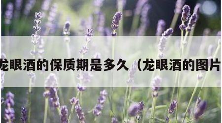 龙眼酒的保质期是多久（龙眼酒的图片）