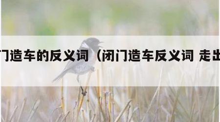 闭门造车的反义词（闭门造车反义词 走出去）