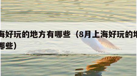上海好玩的地方有哪些（8月上海好玩的地方有哪些）