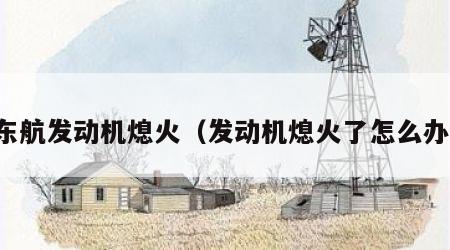 东航发动机熄火（发动机熄火了怎么办）