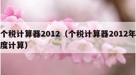 个税计算器2012（个税计算器2012年度计算）