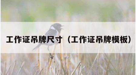 工作证吊牌尺寸（工作证吊牌模板）