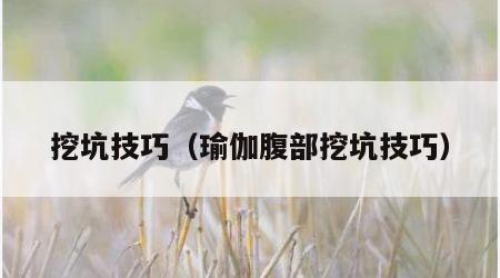 挖坑技巧（瑜伽腹部挖坑技巧）