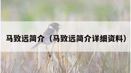 马致远简介（马致远简介详细资料）