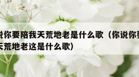 你说你要陪我天荒地老是什么歌（你说你要陪我天荒地老这是什么歌）