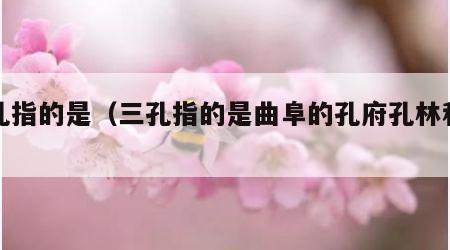 三孔指的是（三孔指的是曲阜的孔府孔林和什么）