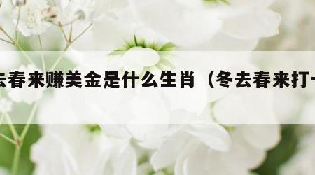 冬去春来赚美金是什么生肖（冬去春来打一数字）