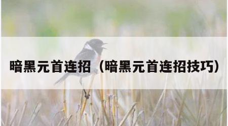 暗黑元首连招（暗黑元首连招技巧）