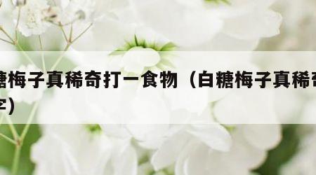 白糖梅子真稀奇打一食物（白糖梅子真稀奇打一字）