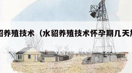 水貂养殖技术（水貂养殖技术怀孕期几天加食）
