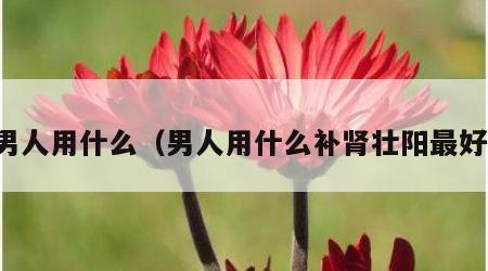 男人用什么（男人用什么补肾壮阳最好）