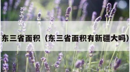 东三省面积（东三省面积有新疆大吗）