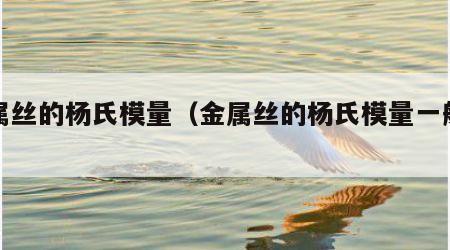 金属丝的杨氏模量（金属丝的杨氏模量一般多大）