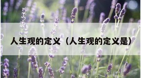 人生观的定义（人生观的定义是）