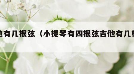 吉他有几根弦（小提琴有四根弦吉他有几根弦）