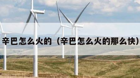 辛巴怎么火的（辛巴怎么火的那么快）