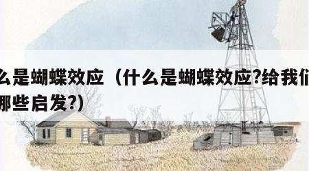 什么是蝴蝶效应（什么是蝴蝶效应?给我们带来哪些启发?）