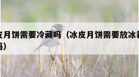 冰皮月饼需要冷藏吗（冰皮月饼需要放冰箱冷藏吗）