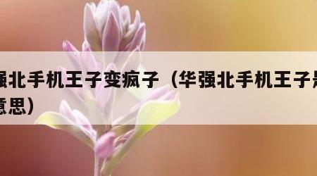 华强北手机王子变疯子（华强北手机王子是什么意思）