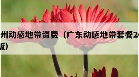 广州动感地带资费（广东动感地带套餐2020版）