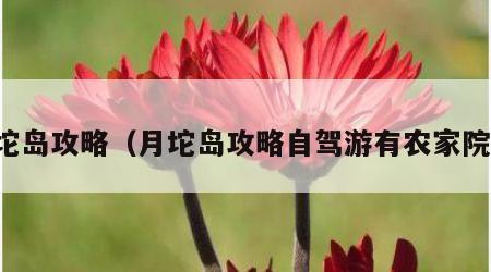 月坨岛攻略（月坨岛攻略自驾游有农家院吗）