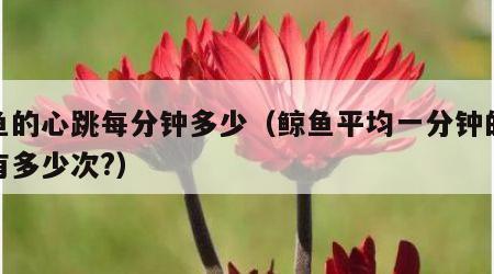 鲸鱼的心跳每分钟多少（鲸鱼平均一分钟的心跳有多少次?）