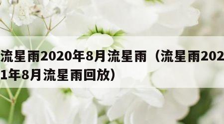 流星雨2020年8月流星雨（流星雨2021年8月流星雨回放）