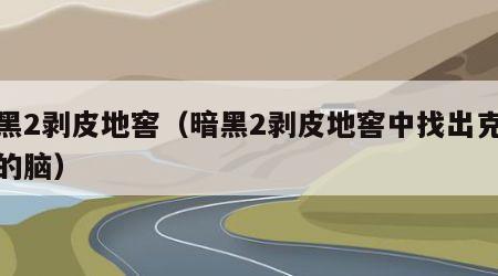 暗黑2剥皮地窖（暗黑2剥皮地窖中找出克林姆的脑）