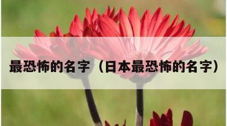 最恐怖的名字（日本最恐怖的名字）
