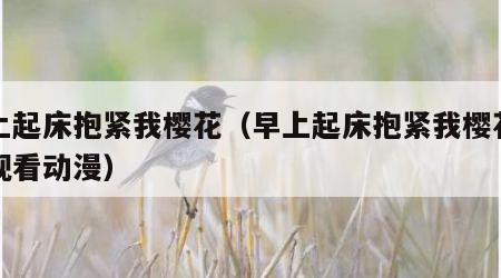 早上起床抱紧我樱花（早上起床抱紧我樱花在线观看动漫）