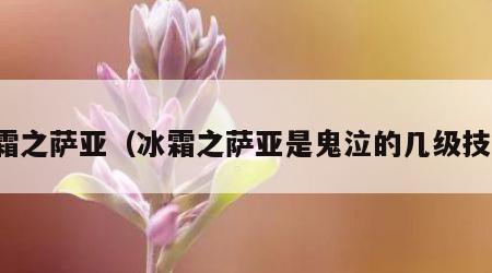 冰霜之萨亚（冰霜之萨亚是鬼泣的几级技能）