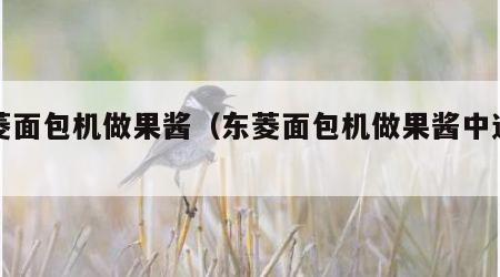 东菱面包机做果酱（东菱面包机做果酱中途停电）