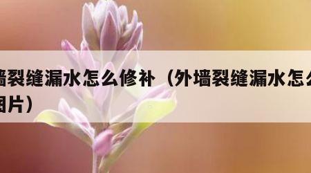 外墙裂缝漏水怎么修补（外墙裂缝漏水怎么修补图片）